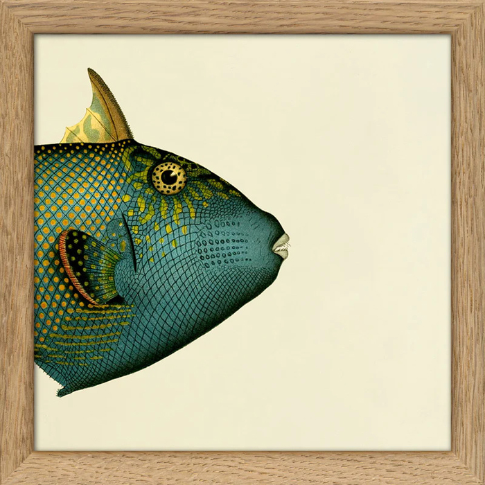 tableau illustration tête de poisson bleu vert Etxe Mia!