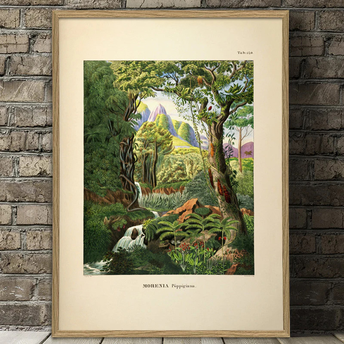 tableau illustration jungle colorée encadrement chêne 70x100 cm Etxe Mia!