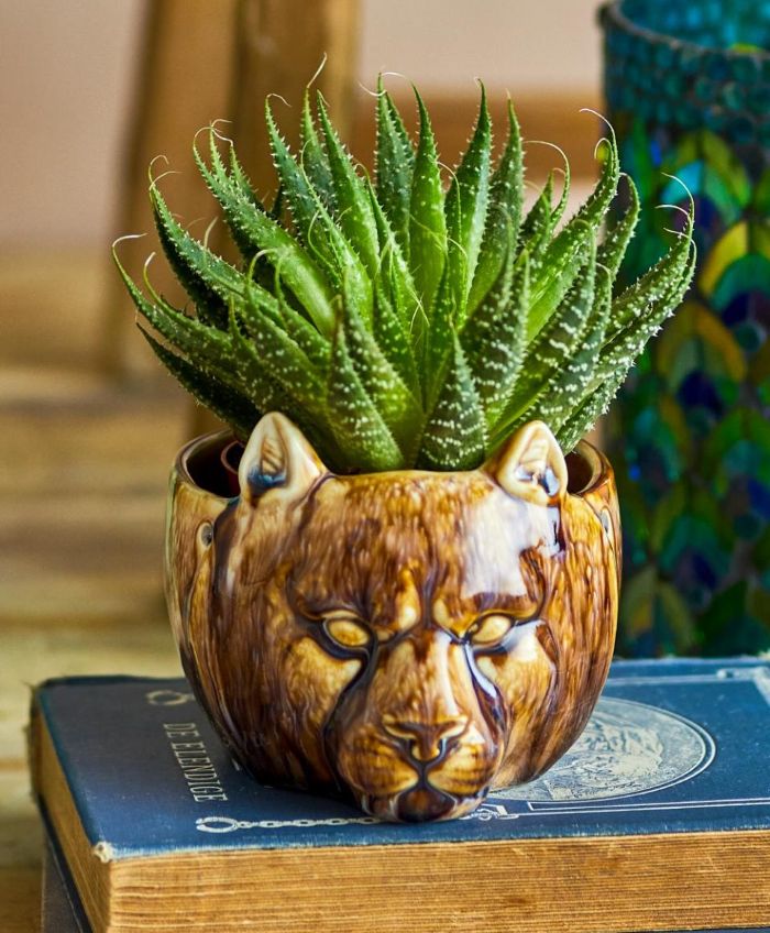 cache pot marron tête lion Etxe Mia!